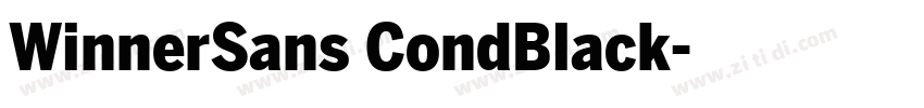 WinnerSans CondBlack字体转换